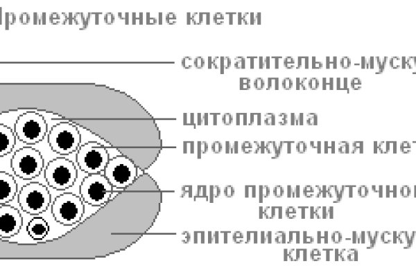 Зайти в кракен