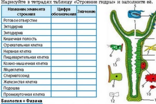 Ссылка на кракен kr2web in