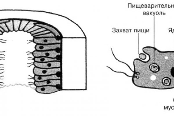 Кракен ссылка орион